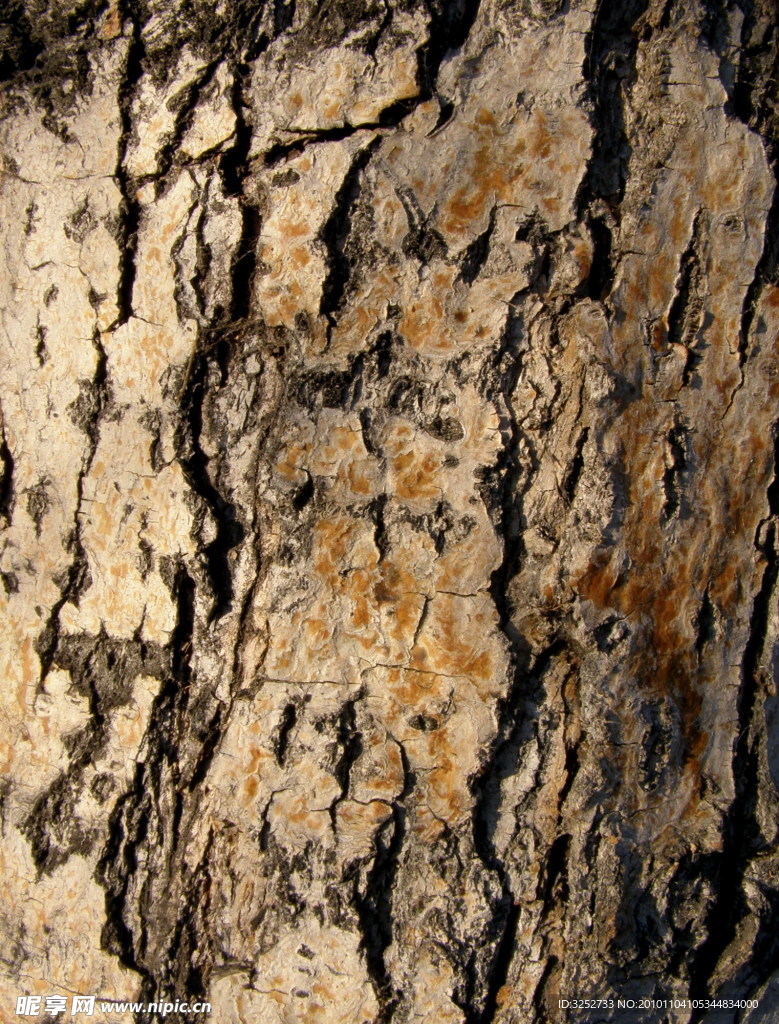 木纹10