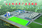 鸟瞰图