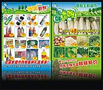 超市 宣传单