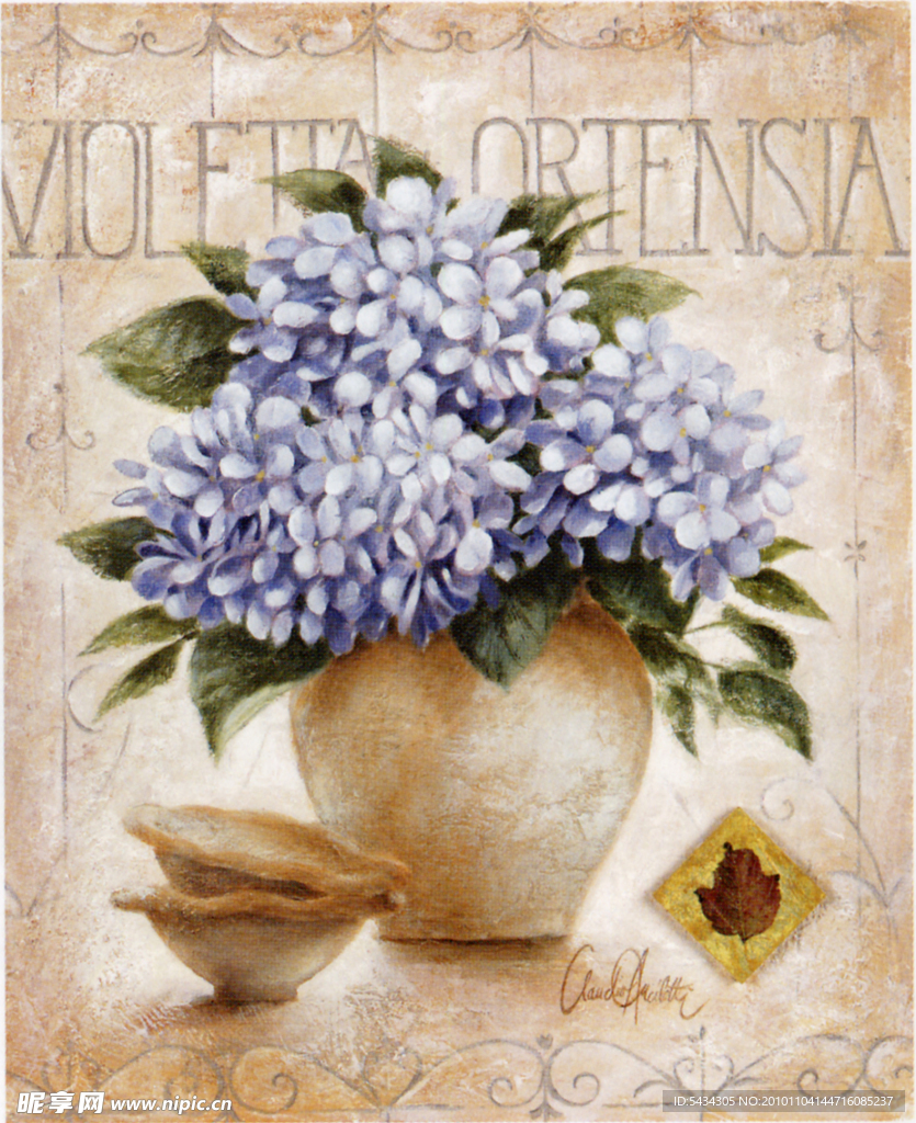 欧式装饰画 ortensia花