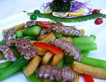 玉兰富贵野菌柳