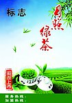 日照绿茶