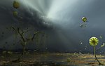暴风雨