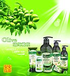 橄榄化妆品广告