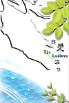 婚纱模板