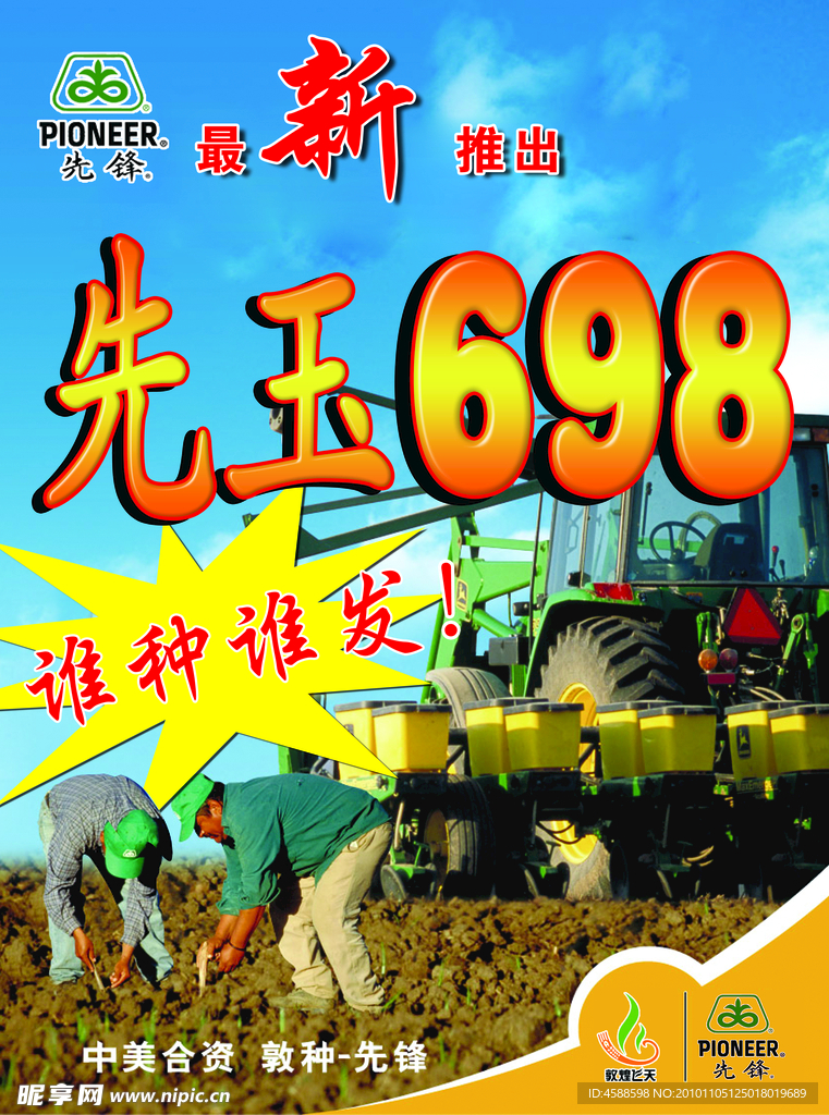 先玉698背景布