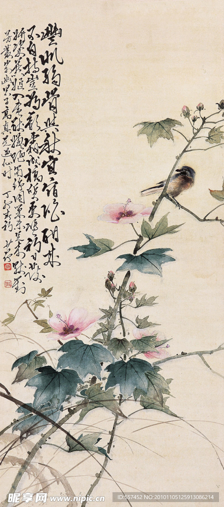 花鸟