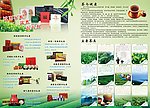茶叶 绿色 设计 清新