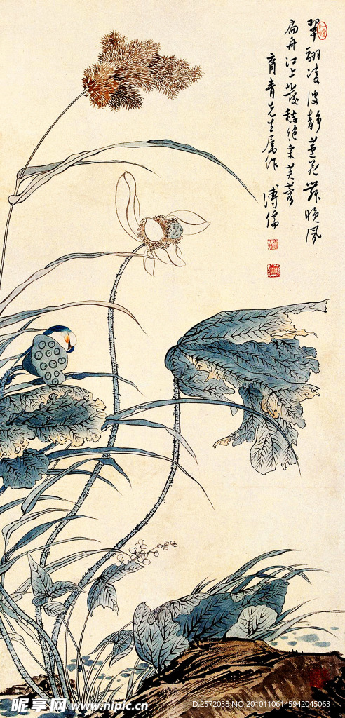 荷花翠鸟