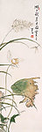荷花蜻蜓图