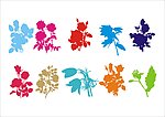 嗨玫瑰花