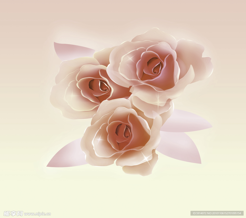 玫瑰花