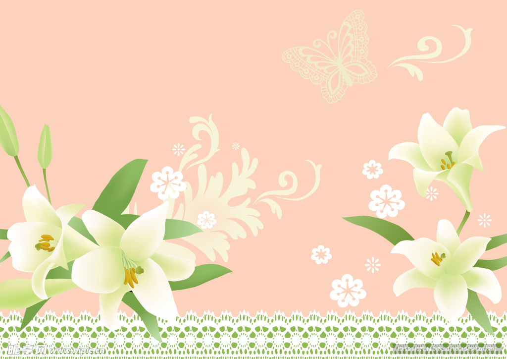 百合花