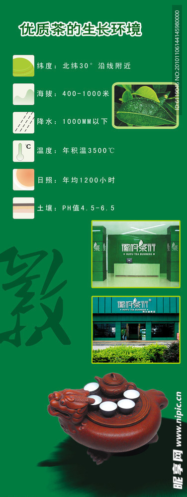 优质茶的生长环境