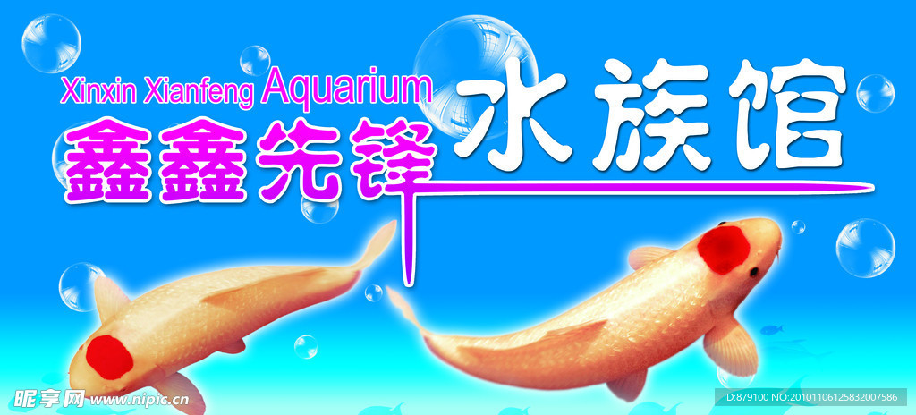 鑫鑫先锋水族馆