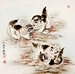 猫趣