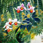 竹林清幽