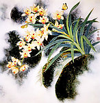 晨谷清幽