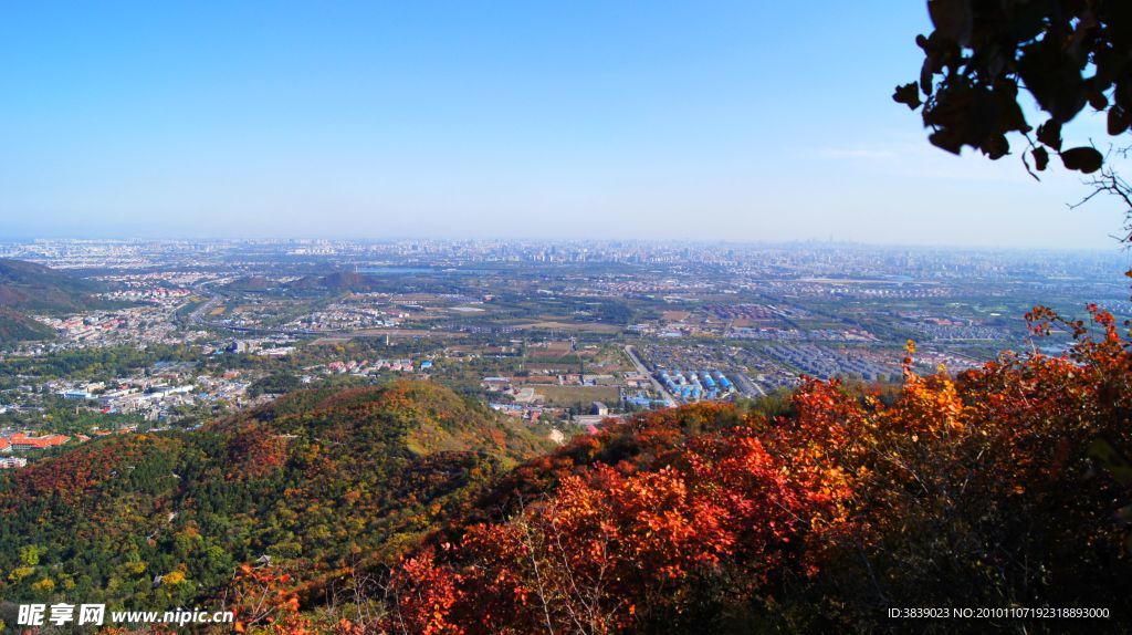 香山远眺