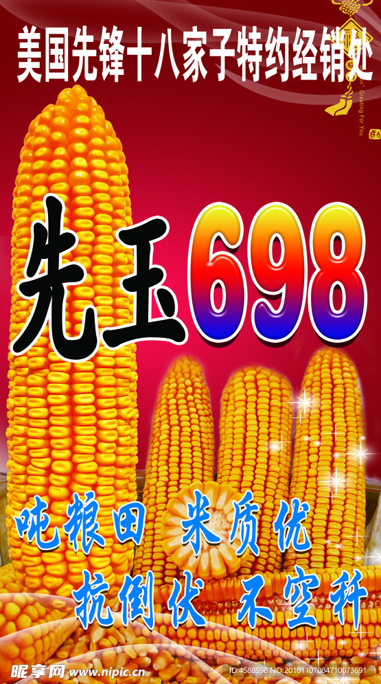 先玉698背景布