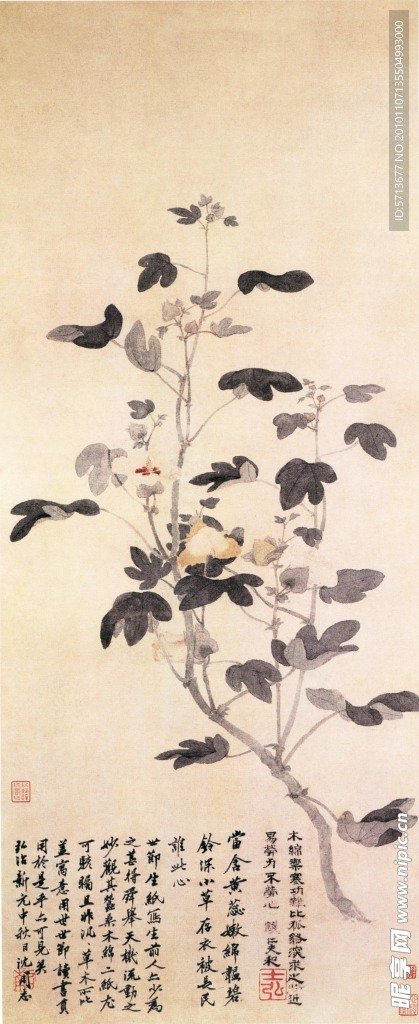 国画