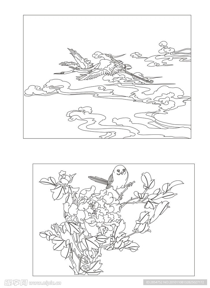 鸟的世界