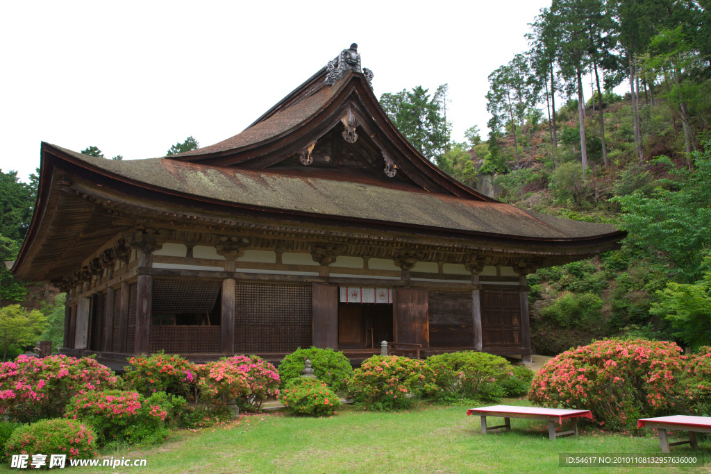 山下的小屋