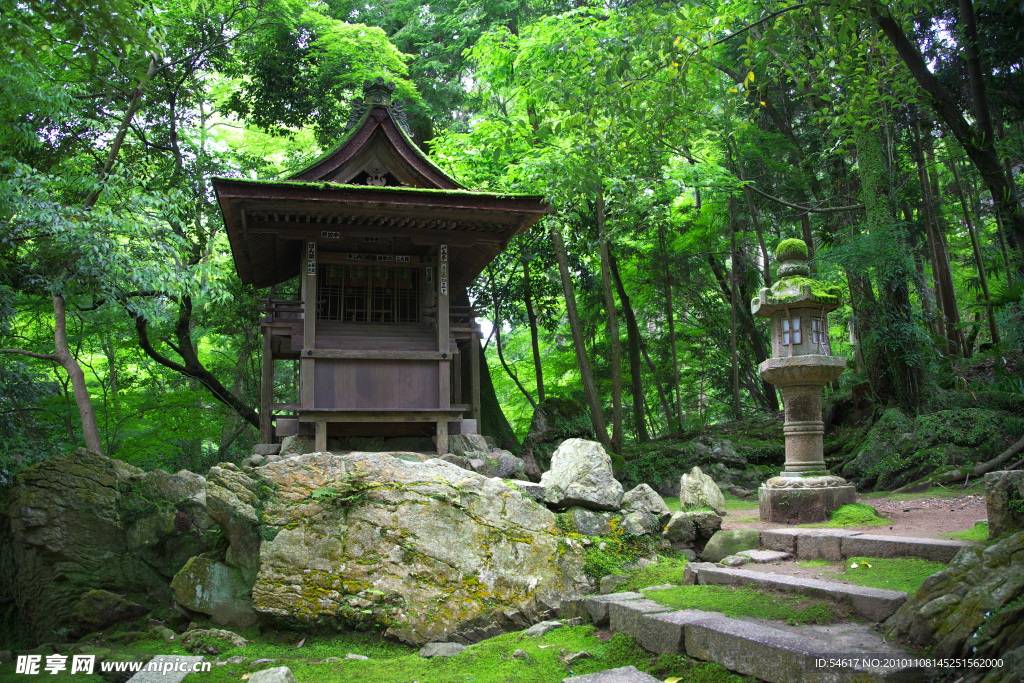 树林里的寺院