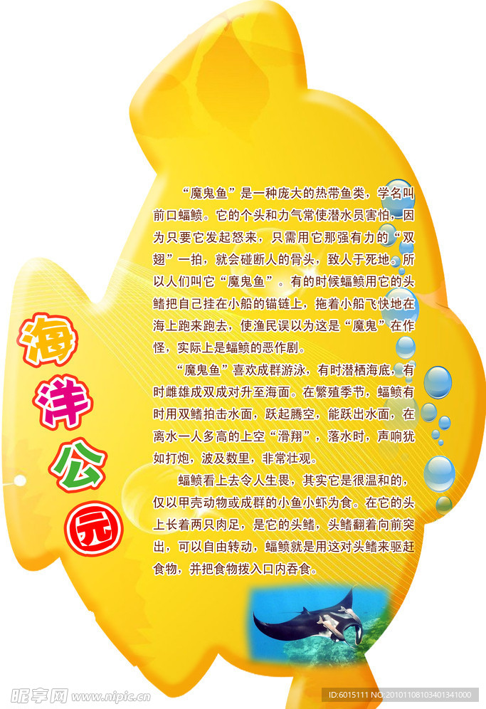鱼形展板