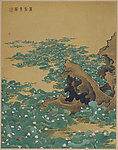 万点青莲