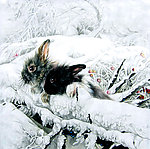 雪中双兔