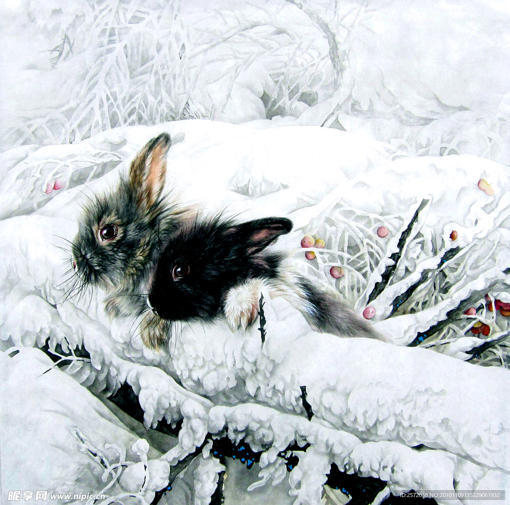 雪中双兔