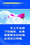 校园文化