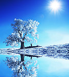 冬季雪景高清图片