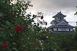 花丛中的中式建筑