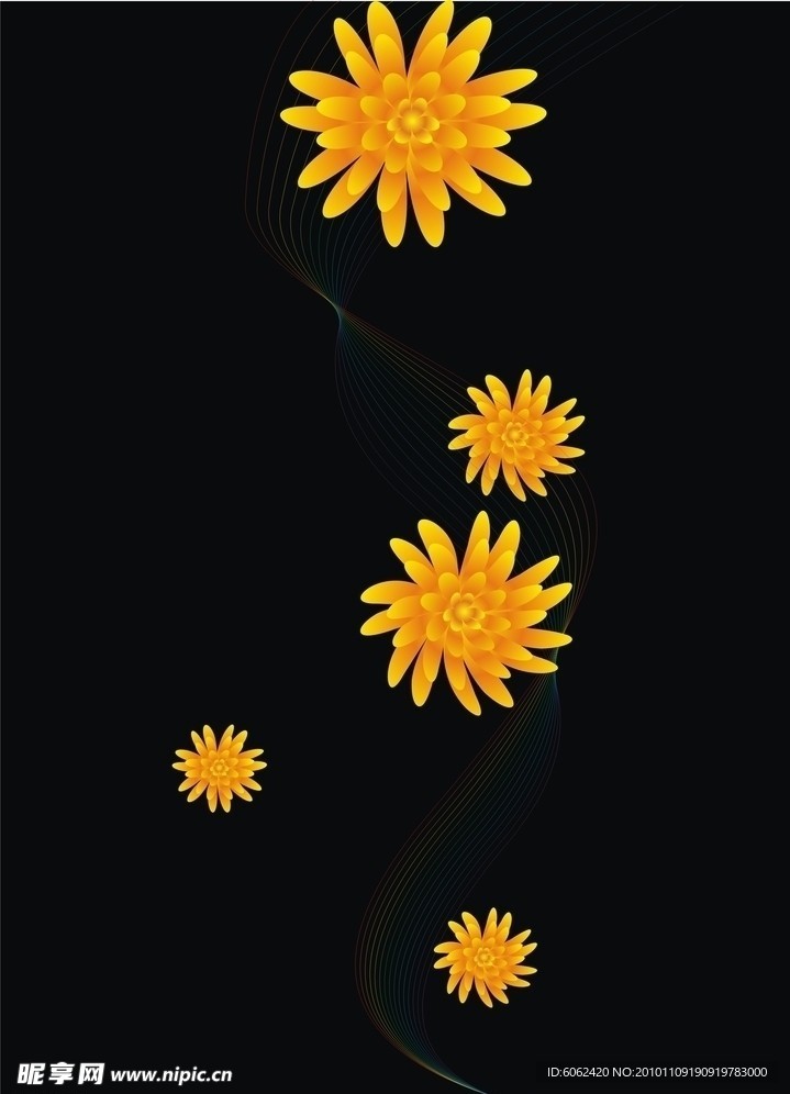 小黄花