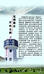 接新友反面