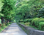 自然风景