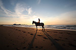 大海 沙滩 骑马