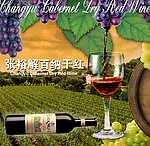 张裕红酒宣传