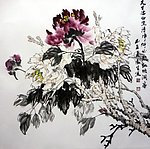 富贵牡丹