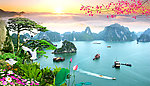 越南岛风景