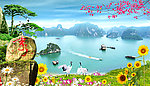 越南岛风景