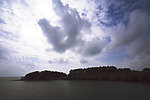 海洋