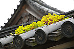 屋檐特写