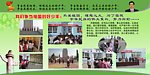 学校展板