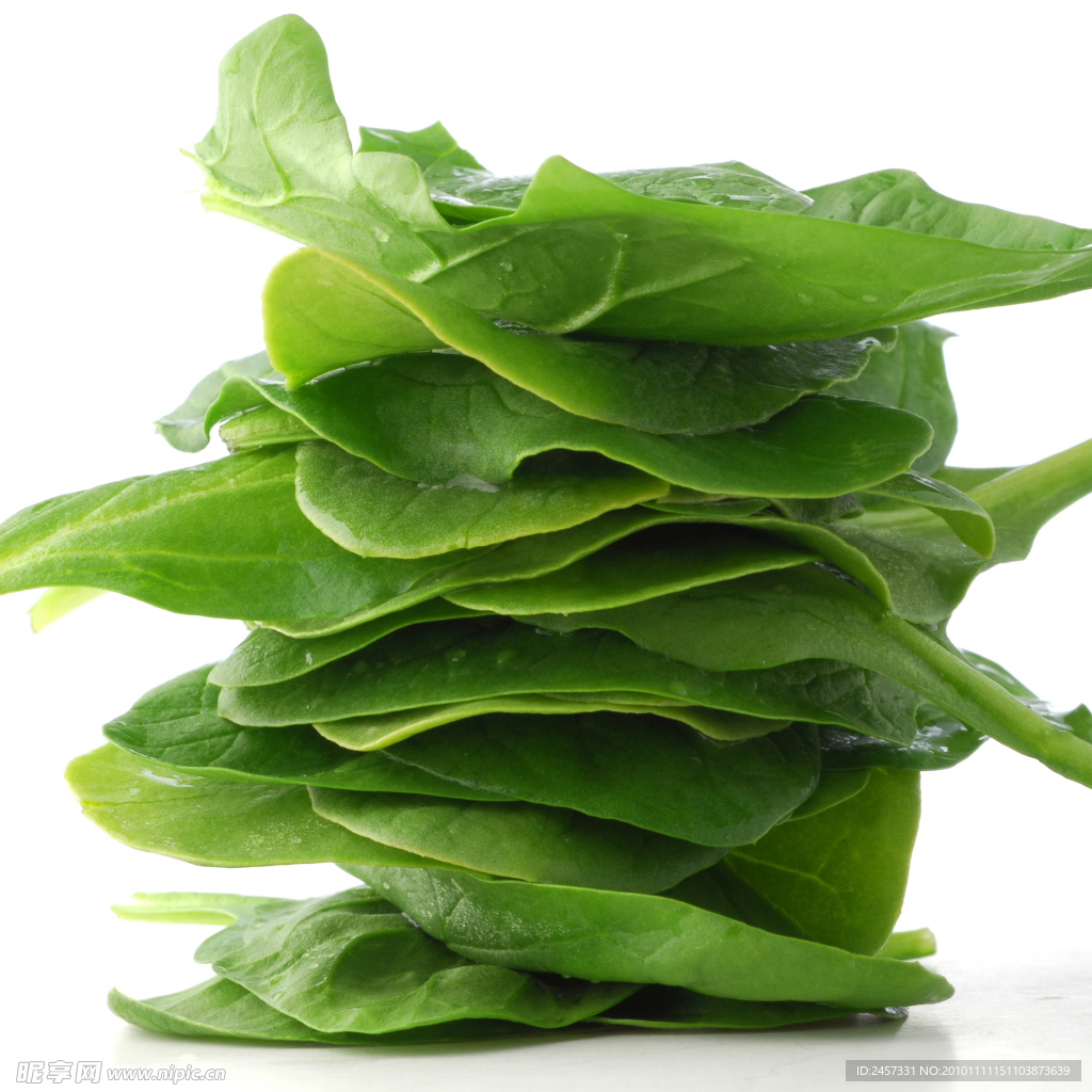 绿色油菜