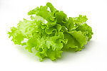 生菜