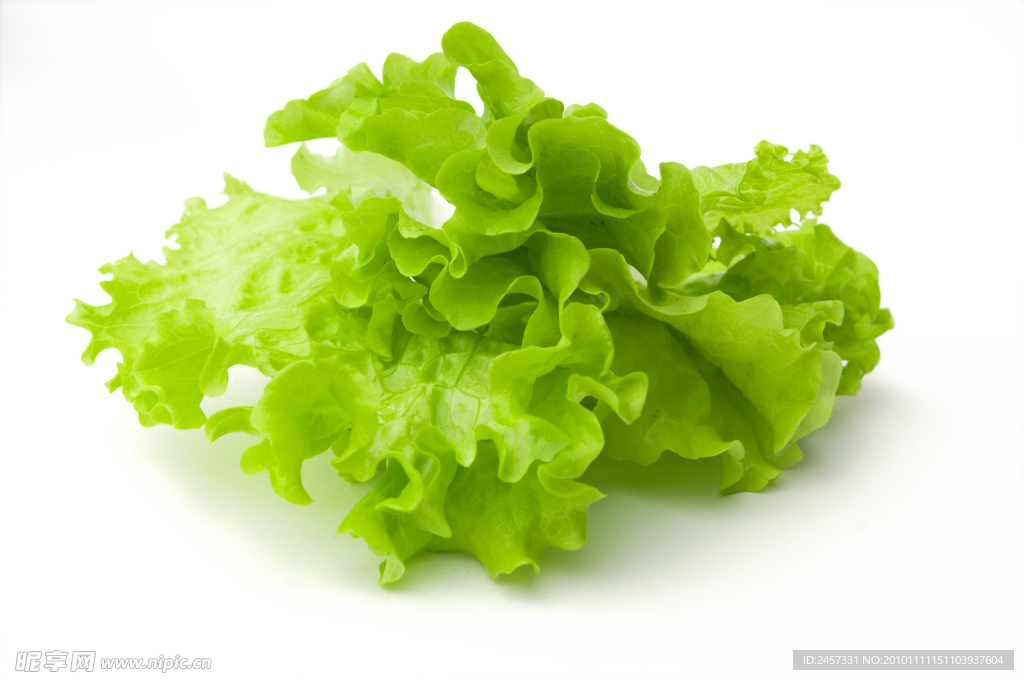 生菜