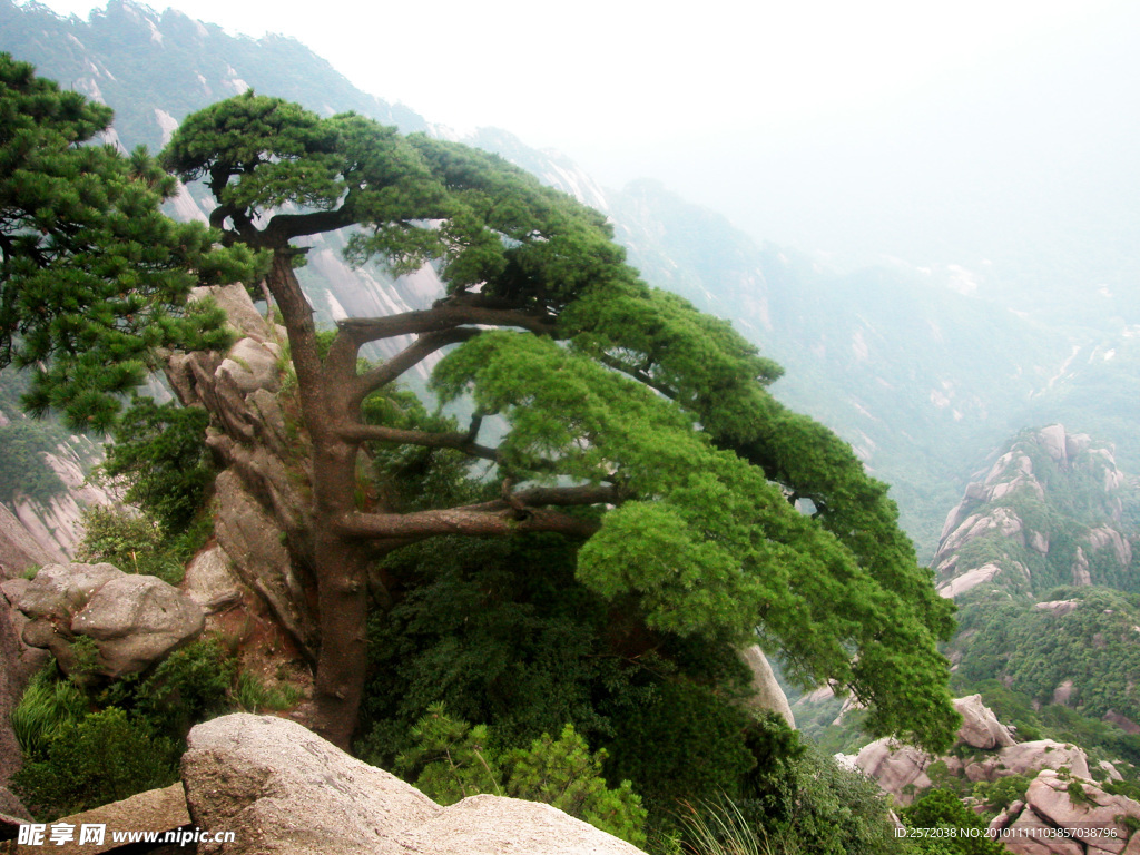 黄山风光